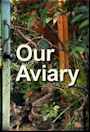 Our Aviary