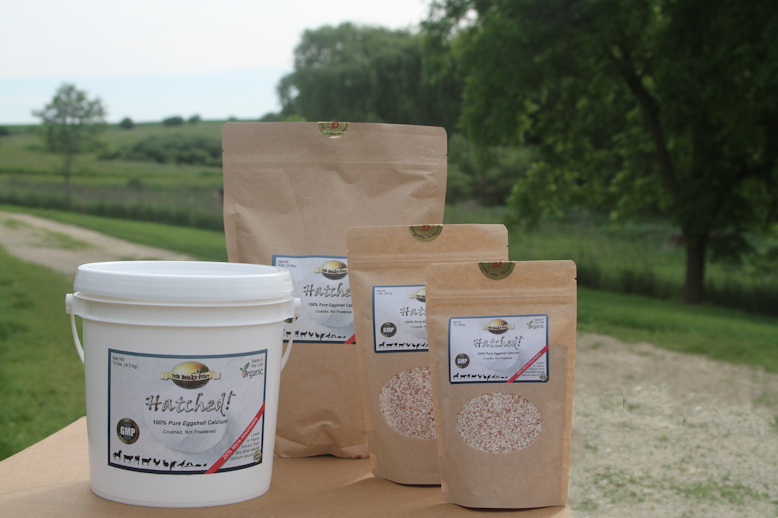 hatched-eggshell-sizes