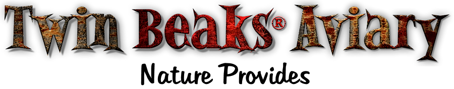 title-tba
